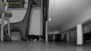 维安视宠物AI摄像头陪伴机器人全屋移动监控wifi看老人小孩4g智能语音摄像头 【WIFI版】远程全屋移动逗宠机器人皓月白色 征集买家秀晒图返20元 实拍图