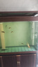 松宝鱼缸氧气泵增氧泵 水族箱增氧机打氧加氧泵充氧泵制氧机 SB-748 双孔8W 气石套餐 实拍图