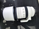 佳能（Canon）RF全画幅微单镜头 专业变焦镜头打鸟 适合R7 RP R10 R5 R6二代 R8 R50 R100微单相机 RF 100-500mm IS USM超远摄变焦 套餐二【升级金环UV+ 实拍图