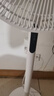艾美特（AIRMATE）【轻语系列】电风扇安静卧室一级能效落地扇轻音家用直流变频大风力台立式节能遥控全屋驱蚊循环扇 实拍图