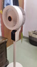 钻石牌电风扇空气循环扇落地扇家用风扇涡轮换气扇循环对流风扇落地大风量电扇蓝牙AI语音遥控FX-L20R-LX 实拍图