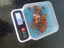 凯丰厨房秤电子秤家用不锈钢克秤高精度食物称小型精准茶叶克称珠宝秤 实拍图