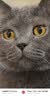 汾酒山西杏花村 牧童水晶汾 玻汾口粮酒 42度475ml 清香型白酒 42度 475mL 3瓶 实拍图