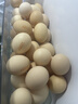 牧族 可生食新鲜鸡蛋 NSF认证 无抗生素 无菌蛋单枚50g 可生食30枚 实拍图