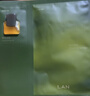 蘭（LAN）兰时光油蜜面膜保湿紧致换季修护提亮面膜油敷面膜以油养肤3盒装 实拍图