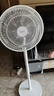美的（Midea）【品质推荐】七叶轻音柔风电风扇/家用省电落地扇/台式电扇/广角摇头节能宿舍小型风扇 SAE35CA 实拍图