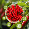 乐畅纯正辣椒面100g 0添加无硫熏 红辣椒粉 烧烤料撒料调味料火锅底料 实拍图