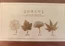 天色四季之叶黄铜叶脉书签礼盒 金属中国风文创纪念品教师节男女伴手礼生日新年会礼物送老师TS-5881 实拍图