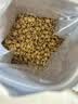 皇家成猫猫粮 口感型 ES35通用粮12月以上10KG 实拍图
