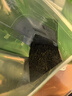 匠界茶叶绿茶信阳原产毛尖茶新茶明前高山嫩芽袋装250g自己喝端午送礼 实拍图