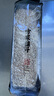 方家铺子中华老字号 燕麦米1kg 麦仁米五谷杂粮米粥米伴侣保留胚芽2斤 实拍图