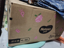 好奇（Huggies）铂金装小桃裤成长裤XL96片(12-17kg)加大号尿不湿【透爽散热】 实拍图