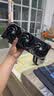 影驰全家桶海景房i5 12600KF/14600KF/RTX5060/5060Ti设计直播游戏电竞三角洲组装电脑DIY组装机台式机 配置一 12400F+5060 实拍图
