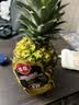 佳农 黑钻菠萝1粒装 菲律宾凤梨 净重2斤起 生鲜水果 源头直发 包邮 实拍图