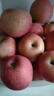 甜醉了 烟台苹果栖霞红富士新鲜水果生鲜山东特产脆甜整箱平果礼盒礼品 净重5斤 85mm 实拍图