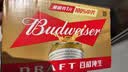 百威（Budweiser）经典纯生淡色拉格啤酒 500ml*18听整箱装 踏春送礼 实拍图