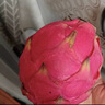 京鲜生海南红心火龙果净重4.5斤 单果350g起  新鲜水果 源头直发包邮 实拍图