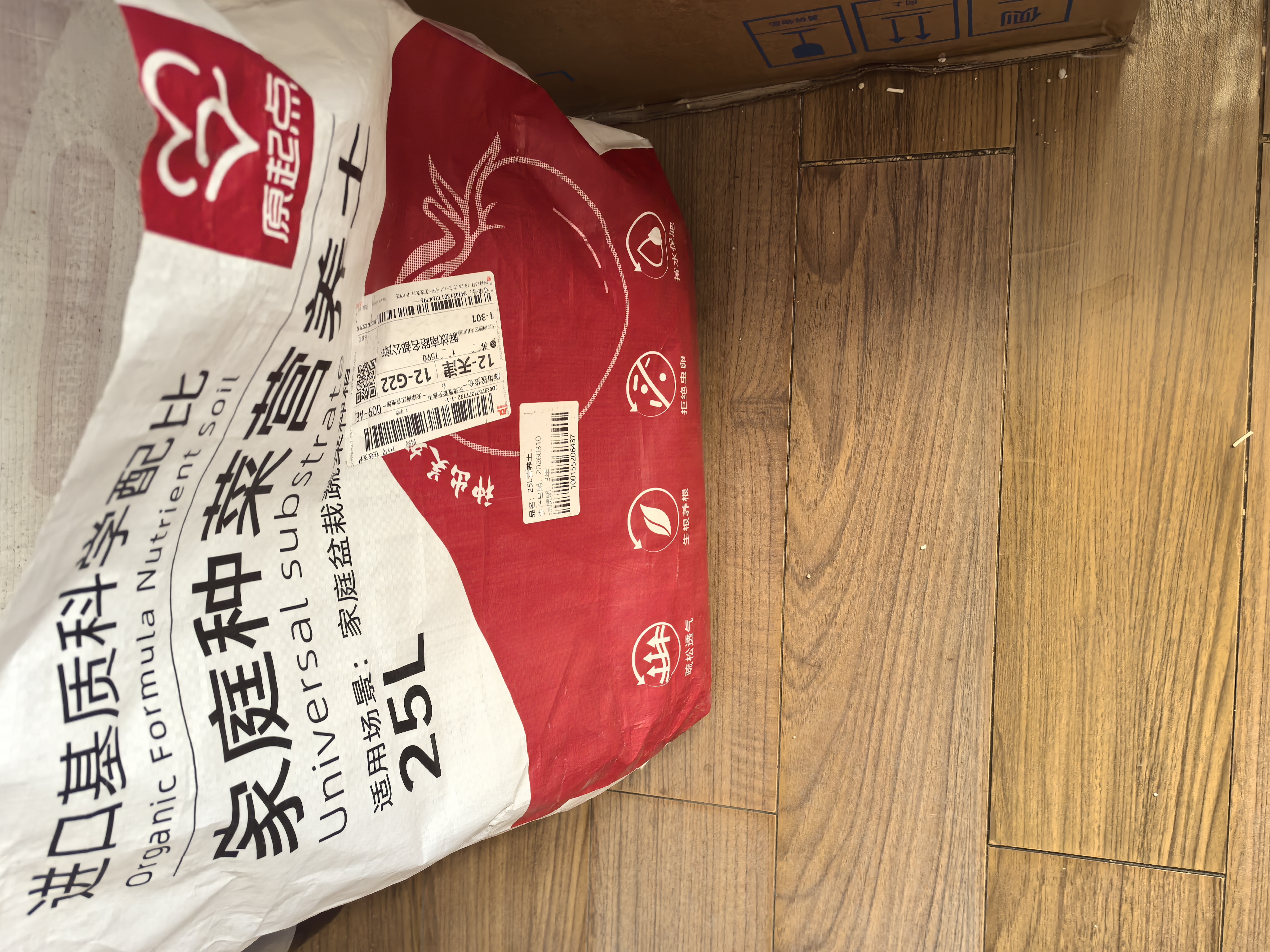 北蔬 草莓种子苗奶油草莓阳台种植秋冬四季水果籽 红颜草莓种子500粒 实拍图
