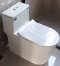 九牧王马桶坐便器家用虹吸式大口径冲力潮州卫生间静音节水防溅马桶坐厕 镇店款【双浅水区】10.0大管径 305/300mm 免费送货入户 实拍图