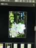 漫步者（EDIFIER）【爆款推荐】W820NB双金标主动降噪无线头戴式蓝牙耳机游戏音乐运动学生网课耳麦适用于安卓苹果 【升级版】云岩白+彩色耳机包 实拍图