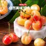 颜曼箐黄蜜樱桃车厘子 【JD/顺丰-送货上门】山东/大连大樱桃黄水晶 2斤(净重) A+级 品质果 实拍图