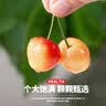 颜曼箐黄蜜樱桃车厘子 【JD/顺丰-送货上门】山东/大连大樱桃黄水晶 2斤(净重) A+级 品质果 实拍图