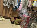 鲁花 【保真花生油】食用油 5S 物理压榨 高油酸花生油750ml 实拍图