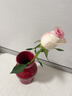 京东鲜花轻奢陶瓷花瓶红色高级感订婚结婚摆件干花鲜花水培插花瓶乔迁礼物 实拍图