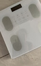 米家APP体脂秤体重秤电子秤家用称重计减肥专用智能精准充电健康秤电子称体脂称 【爆款】米家APP体脂秤-电池 实拍图