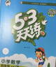 官方自营 2026春季53天天练小学数学四年级下册RJ人教版五三天天练53天天练同步练习册5.3天天练5·3天天练学霸培优学霸提优 实拍图