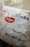 好奇（Huggies）金装云感裤拉拉裤婴儿尿不湿超薄成长裤新生儿宝宝瞬吸干爽学步裤 L 124片 拉拉裤【9-14kg】 实拍图