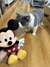 迪士尼（Disney）经典米奇米妮毛绒玩偶玩具大号公仔情侣结婚礼物压床娃娃520礼物 米奇红色中号 晒单实拍图