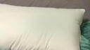 霞珍酒店枕头全棉羽毛枕 柔软鹅毛枕芯 单只装48*74 实拍图