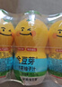 金豆芽儿童金银花柚子汁155ml*16瓶夏天孩子饮料宝宝零食果汁西柚汁 实拍图
