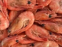 鲜京采带籽熟冻北极甜虾 净重3斤/盒 135-195只 实拍图
