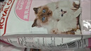 皇家幼猫猫粮 幼猫奶糕 K36 通用粮 4-12月 10KG 实拍图