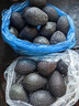 徐福记经典鸡蛋沙琪玛526g/袋传统蛋糕老式糕点早餐面包 实拍图