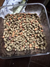 佳帮手按压式密封罐食品级厨房五谷杂粮收纳盒零食干货防潮储物罐1L 实拍图