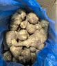 【天然胰岛果】新鲜洋姜可腌制鬼子姜姜不辣农家蔬菜菊芋泡菜 洋姜中大果带箱1斤装 净重 460g 实拍图