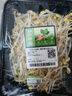 【24小时鲜】富硒黄豆芽200g 实拍图