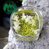 敦蒙甘露飘雪 2026新茶特级茉莉花茶蒙顶山花毛峰茶叶 200克 实拍图
