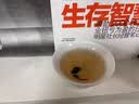 华祥庄园乌龙茶庄园·乐享50g凤凰单丛蜜兰香广东潮州口粮茶叶 实拍图