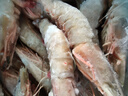 鲜京采野生海捕对虾 净重3斤/盒 30-45只/盒 实拍图