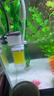松宝（sobo）鱼缸过滤器三合一循环过滤器增氧泵水泵抽水吸便净水AQ-6000F款4W 实拍图