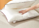 水星家纺枕头枕芯酒店枕头护颈枕头芯家用一对纯棉抗菌可水洗中枕48x74cm 实拍图