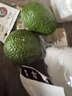 京地达秘鲁牛油果进口鳄梨单果130g*2粒非即食京东自营水果源头直发包邮 实拍图