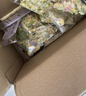 爷爷的农场有机婴幼儿片片面200g  宝宝辅食婴儿面条钙铁锌儿童早餐6-12个月 实拍图
