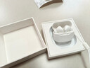 魅蓝【国家补贴】魅族Blus L 主动降噪蓝牙耳机30dB降噪+蓝牙5.3 50ms延迟双设备适配苹果小米华为手机 实拍图