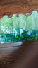 【烧烤季】钟灵山罗马生菜400g 实拍图
