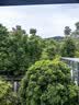 俏己食 黑花生山东特产紫黑皮五香烤花生米富硒坚果下酒菜解馋零食品1斤 实拍图